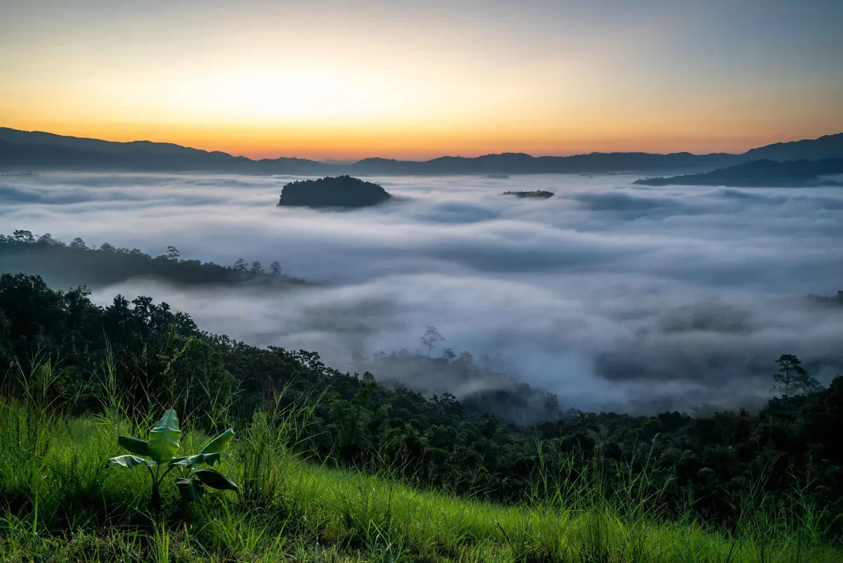 Sunrise over a sea of fog near Cave Lodge